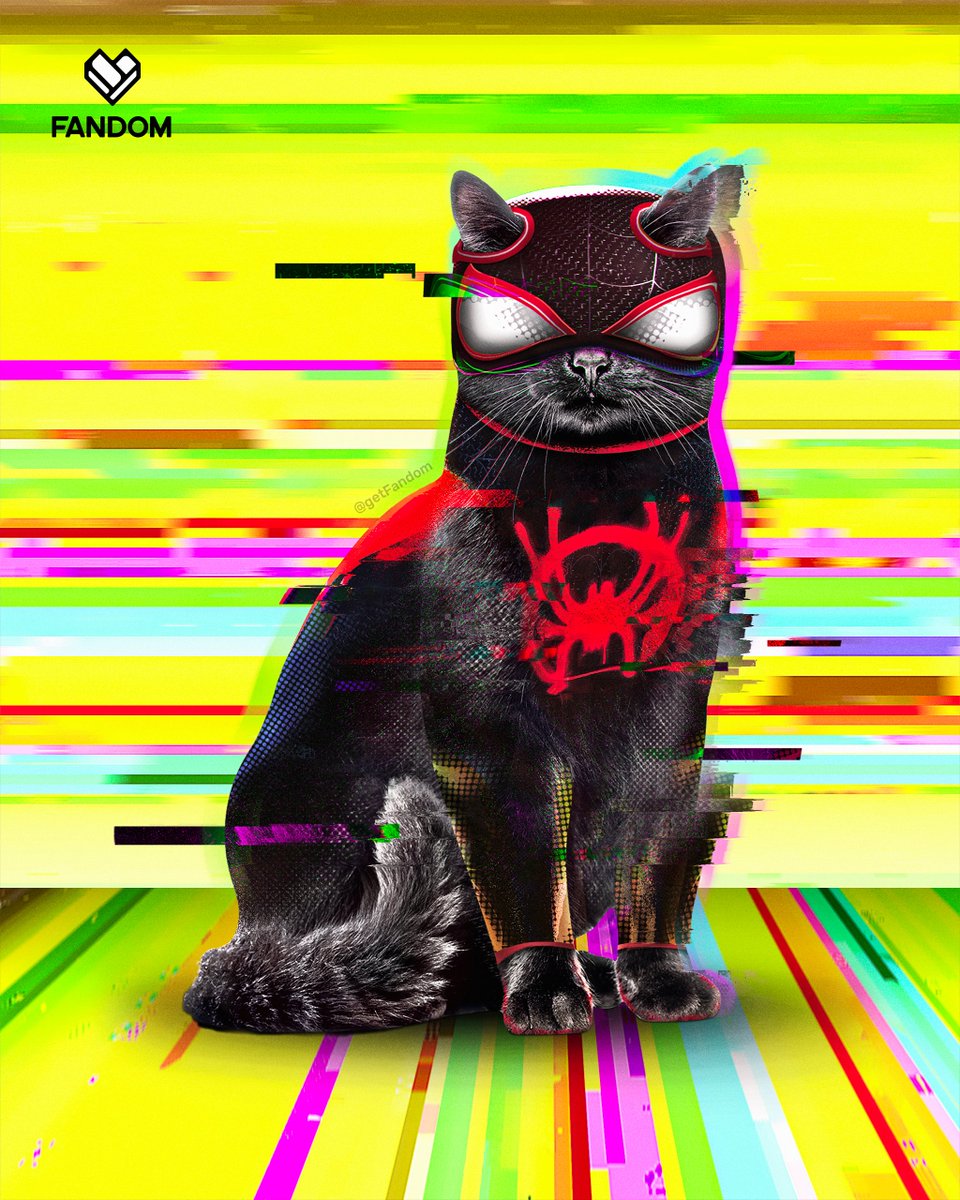 getFANDOM's tweet image. #MilesMorales can't be the only one getting upgraded suits, we got you Spider-Cat 😼
