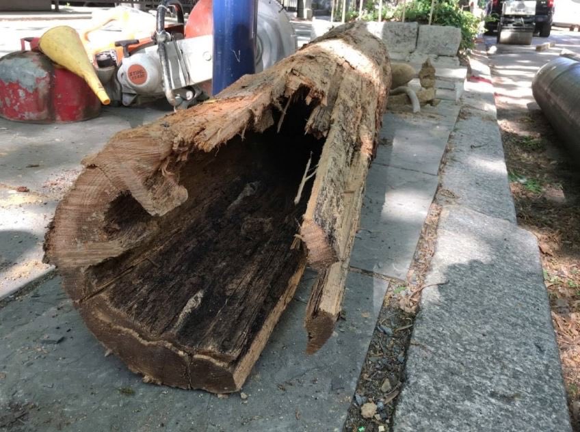 Either way, water and sewage pipes as long ago as 100BC were referred to as  #Mains in that they served communities with fresh water and removed their sewage waste. People recognised them although significantly they were invariably buried. Out of sight and out of mind  [5/20]