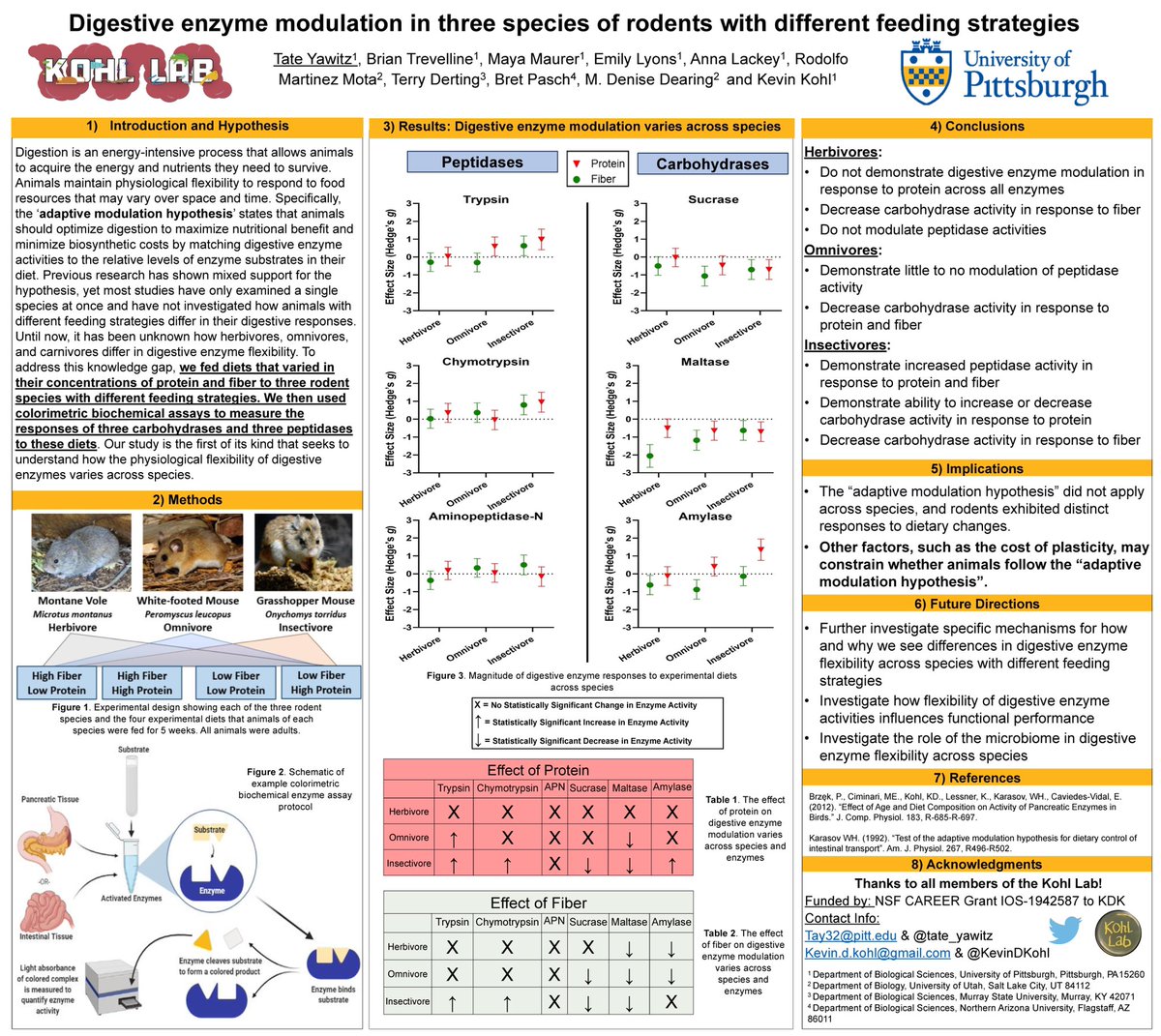 tate_yawitz's tweet image. Super excited for one more day of chatting with exhibitors and sharing my research at #ABRCMS2020! Check out my work on digestive physiology in rodents with @KevinDKohl 🙌 #sciencetwitter #firsttweet