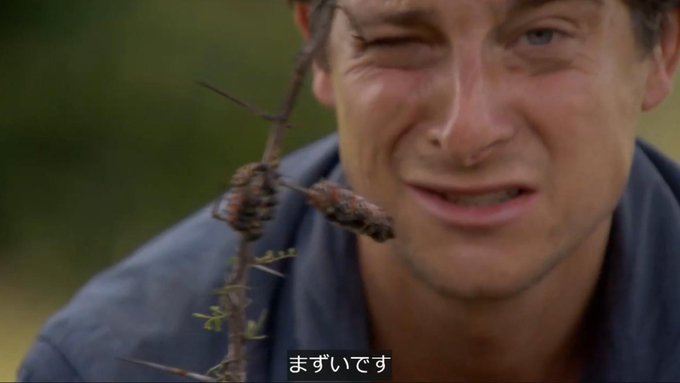 Popular Tweets Of ディスカバリーチャンネル 3 تحليلات تويتر الرسومية الخاصة بهوتويت Whotwi