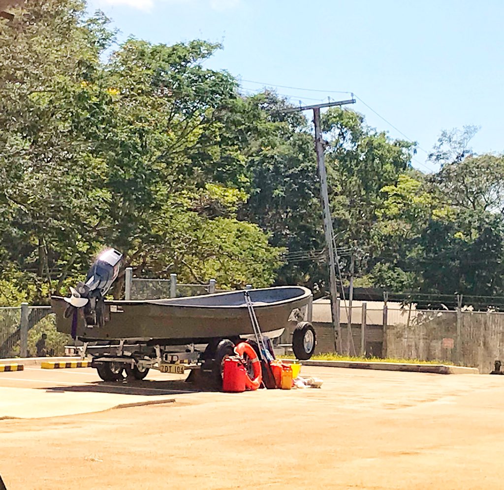 @dcospngdf tweet media