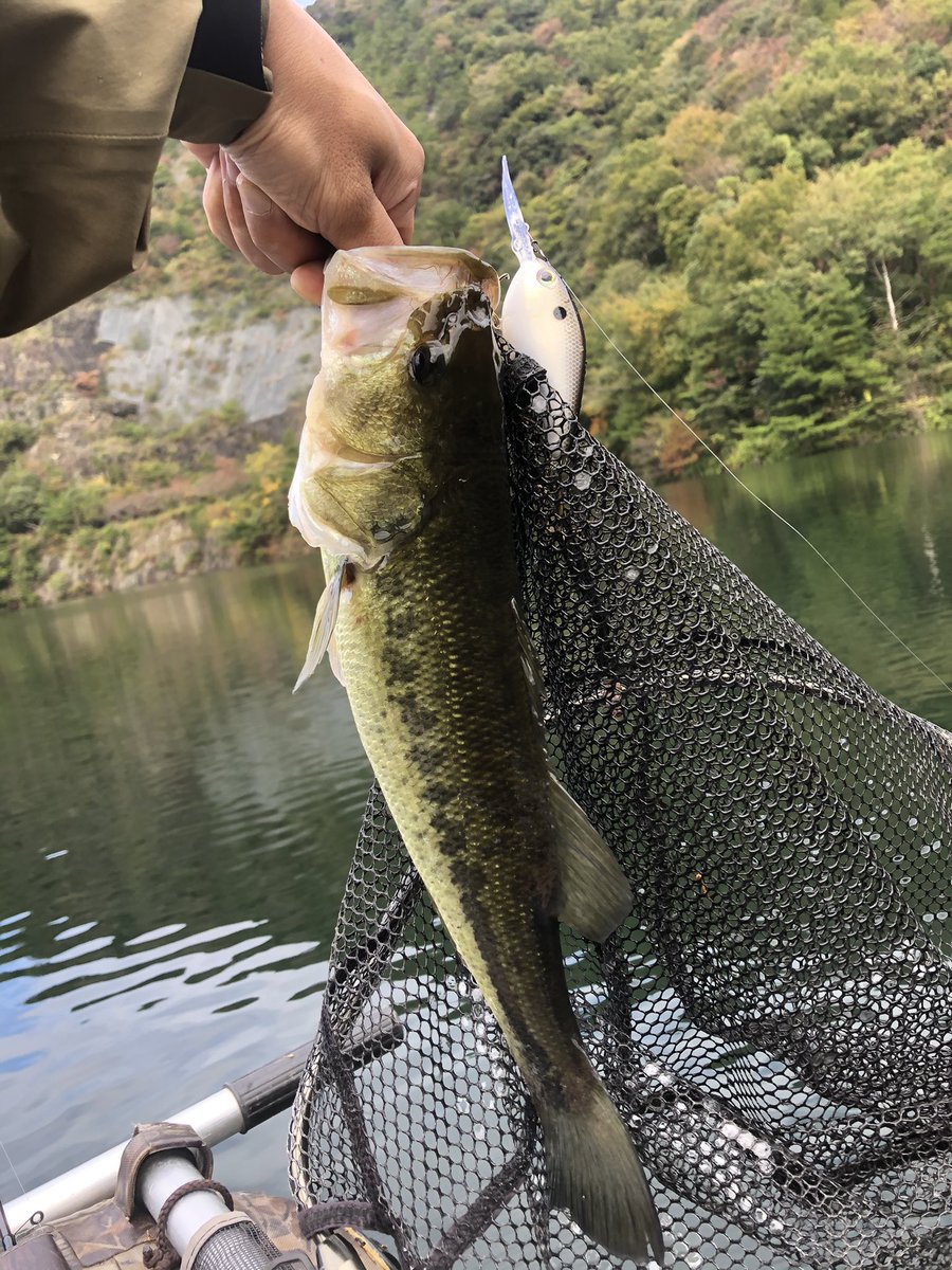 bassfishinghour's tweet photo. やっぱりディープだな〜🐟
岬をクランキング、リアクションフィッシュ💨💨💨#6xd https://t.co/NuJnHVyI8r