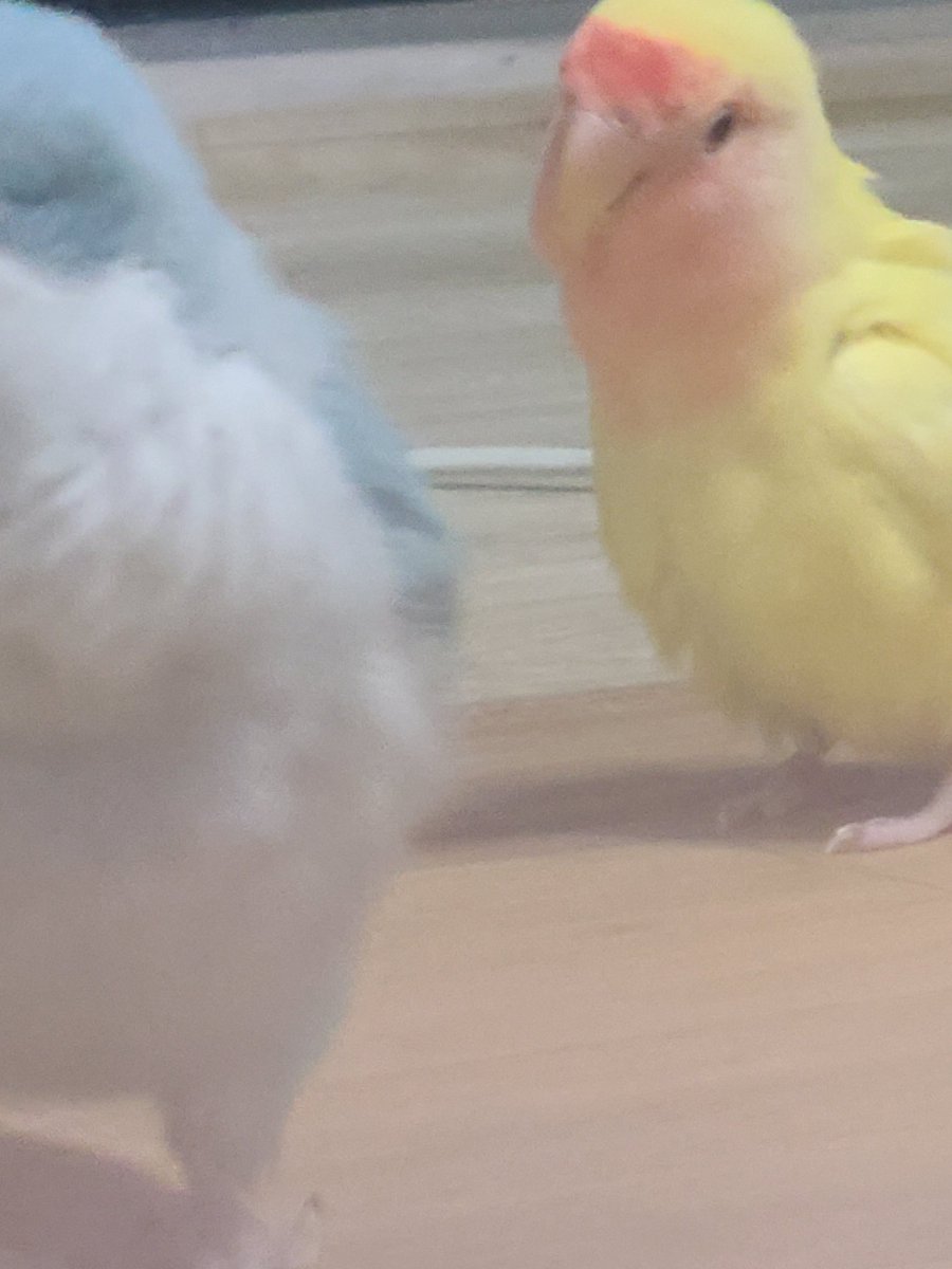 한심하게 쳐다보는 열무..