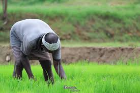 அம்மாவின் இராவணன் tweet media