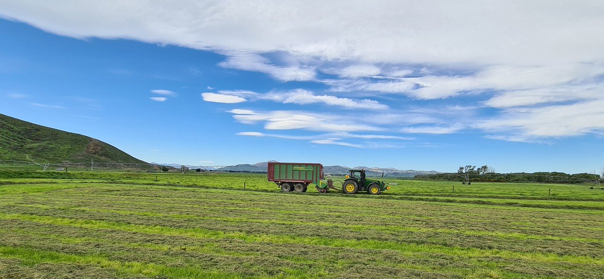 travelingfixer's tweet photo. One of the @StrautmannNZ loader wagons busy today, 4 of these are operating here today https://t.co/SMK9C8BGXY