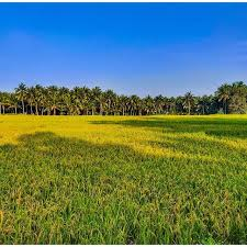 அம்மாவின் இராவணன் tweet media