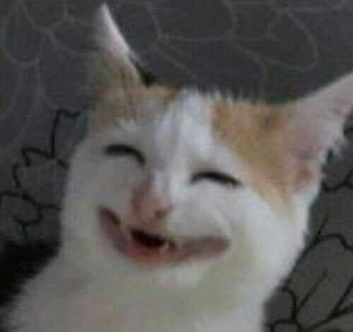 mayziha1's tweet photo. Raissa meteu o cacete no cu desse moleque ( Biel). Eu vendo isso: #EliminacaoAFazenda https://t.co/PWgFffos7F