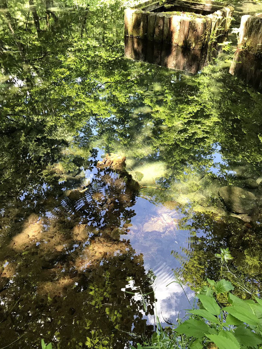 北海道トラベラー スヌスムムリク 道東のパワースポット 運が来るという神社 その名も 来運神社 斜里岳の伏流水 2枚目は空を写してるのではなく池を写しています 北海道 旅行 来運神社 斜里町 道東 百名山 斜里岳 に登る前と下山した後に寄り