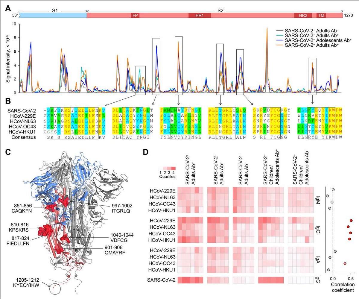 mmw_lmw's tweet photo. Preexisting and de novo #Humoral_Immunity to #SARSCoV2 in humans | Mapping of cross-reactive epitopes | George Kassiotis @TheCrick @ScienceMagazine https://t.co/Bw9steN7Gb https://t.co/KLNLKjuGiI