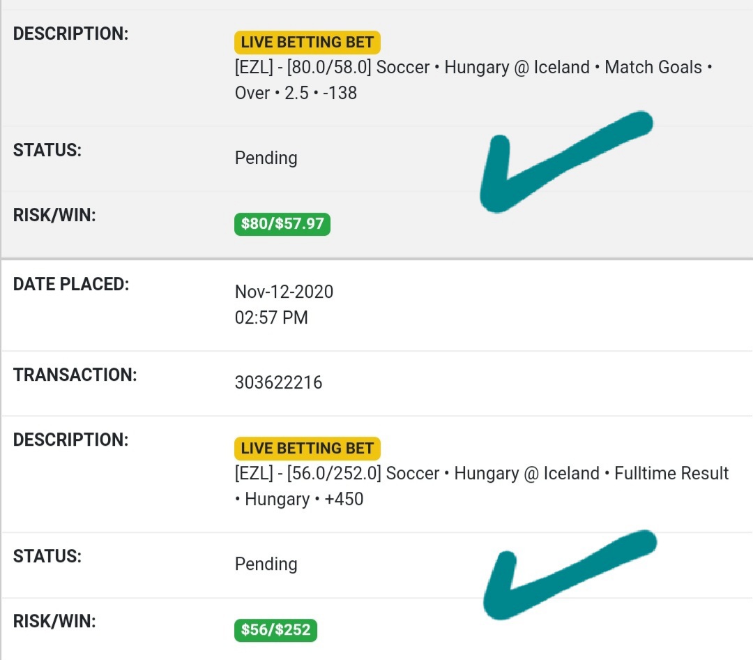 Sharp_Stacks's tweet photo. Wooo Hungary pulls off the miracle. We keep our parlay alive and the over parlay hits! #euroqualifying #soccer #football #Futbol #goals #gamblingtwitter #picks #bets #winners #livebets https://t.co/jW5zn7Ahhq