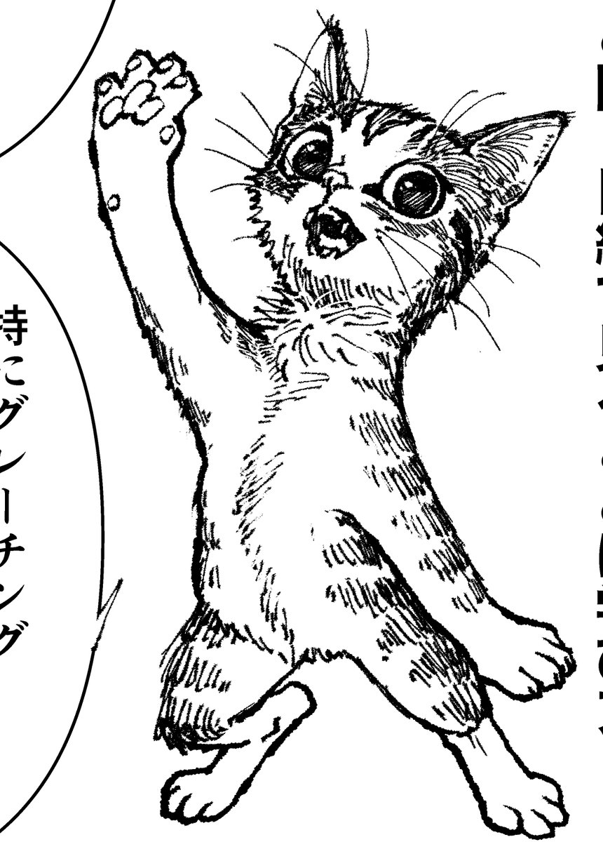 猫の目から世界はどう見えるのか?
資料写真を撮ることで世界がちょっと違って見えるかも!
今回は実際の資料写真も交えてお話しさせていただきます…
マンガ技術マンガ『マンガの必殺技辞典』
第53話「構図 資料写真の撮り方3 猫目線と坂道」
続きはスレッドの次ツイートから…