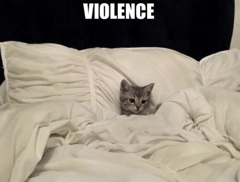 thread of cats i have on my phone