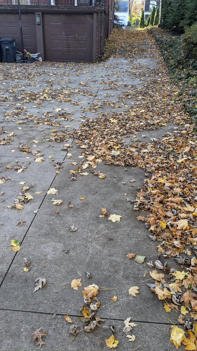 Chris Horne tweet media