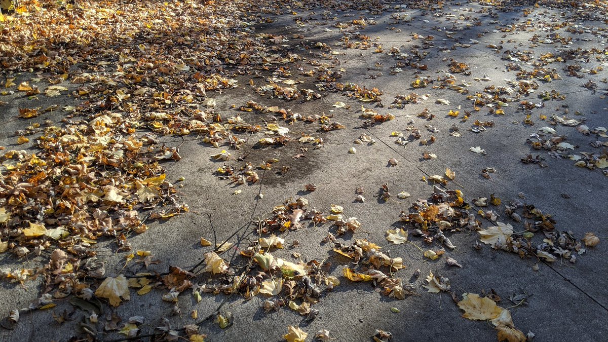 Chris Horne tweet media