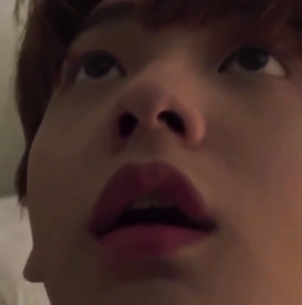 gasp !! a wild bunny has appeared !!! he gibs u a boop !