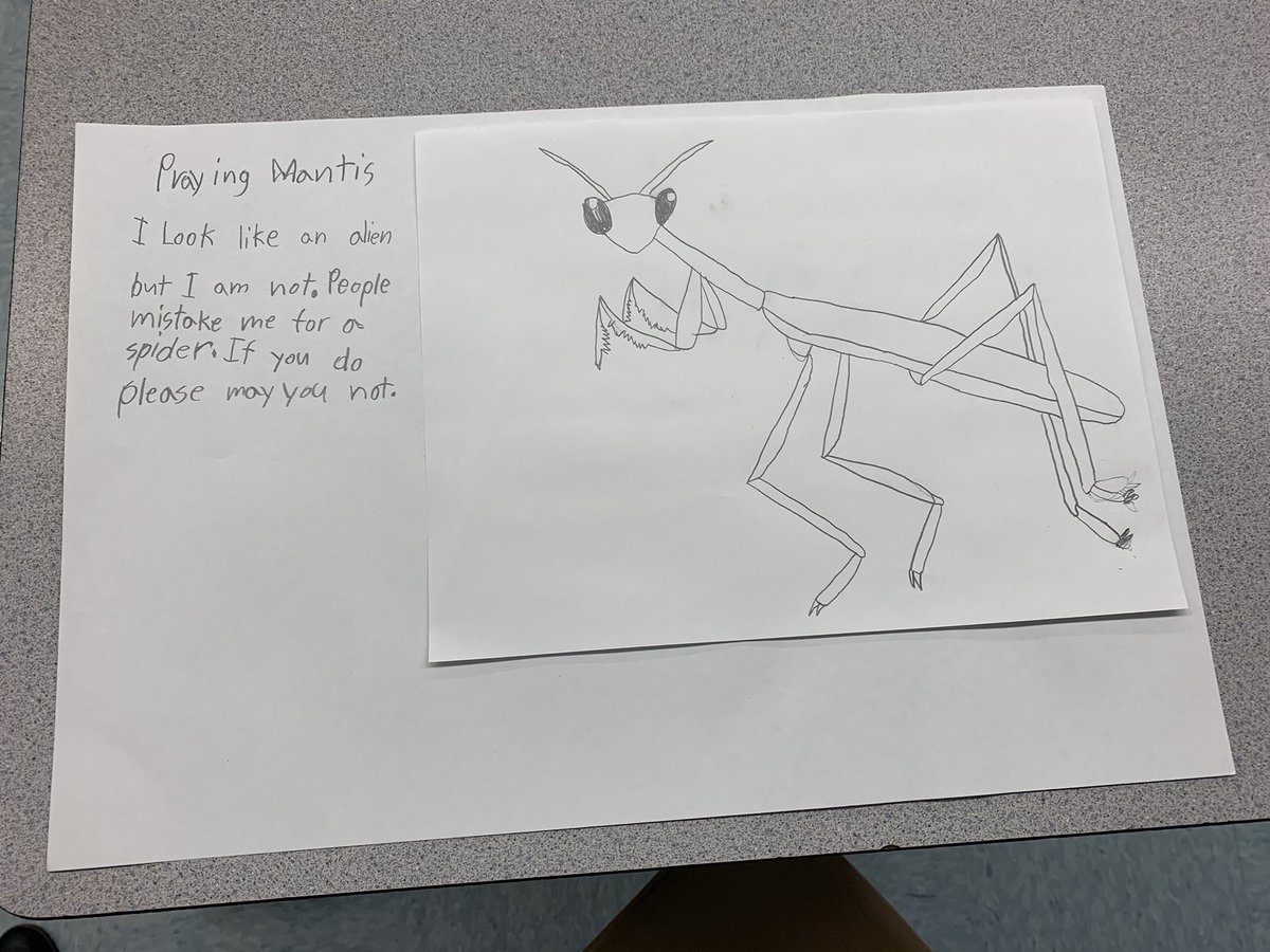 EmilyFord618's tweet photo. My 4th/5th graders were inspired by our Doug Florian author study and asked to make their own poems! Their excitement and enthusiasm was amazing to see! @ccsd21frost https://t.co/8pfuV4DQYf