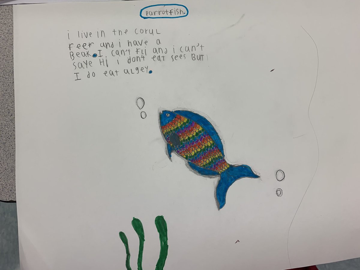 EmilyFord618's tweet photo. My 4th/5th graders were inspired by our Doug Florian author study and asked to make their own poems! Their excitement and enthusiasm was amazing to see! @ccsd21frost https://t.co/8pfuV4DQYf