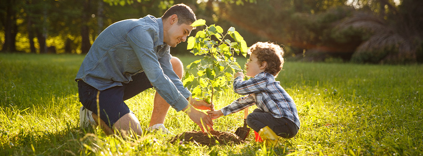 SummerlandCU's tweet photo. Help us plant 1,000 trees in the Northern Rivers🌱

𝗢𝗽𝗲𝗻 𝗮𝗻 𝗮𝗰𝗰𝗼𝘂𝗻𝘁 𝘁𝗼𝗱𝗮𝘆 ✅

👉 https://t.co/Cr3mhd9ip3

Terms, conditions &amp; other info in the link. https://t.co/ckZwRKFPBE