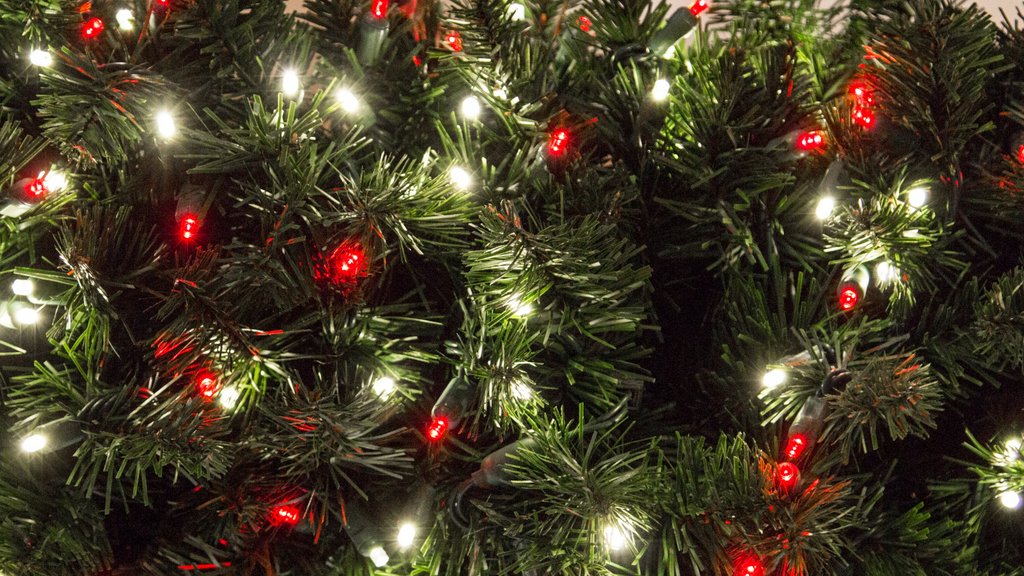 HowellPuroClean's tweet image. If you’re an early bird #HolidayDecorator, your #Christmastree might be going up soon. If your #ElectricalOutlets get overcrowded, you run the risk of having an #ElectricalFire. Here's how to deal with them. buff.ly/2J9juTd
