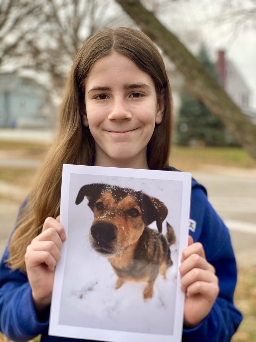 IvePetThatDog's tweet photo. I would love to pet Tuukka. She is learning to sniff out COVID through the Penn Vet Working Dog Center. People who have recently taken a COVID test are needed for her study. You could help science and help save lives. Click the link and take the survey!
https://t.co/7qYYQPrMRc https://t.co/CBZvHhJVUl