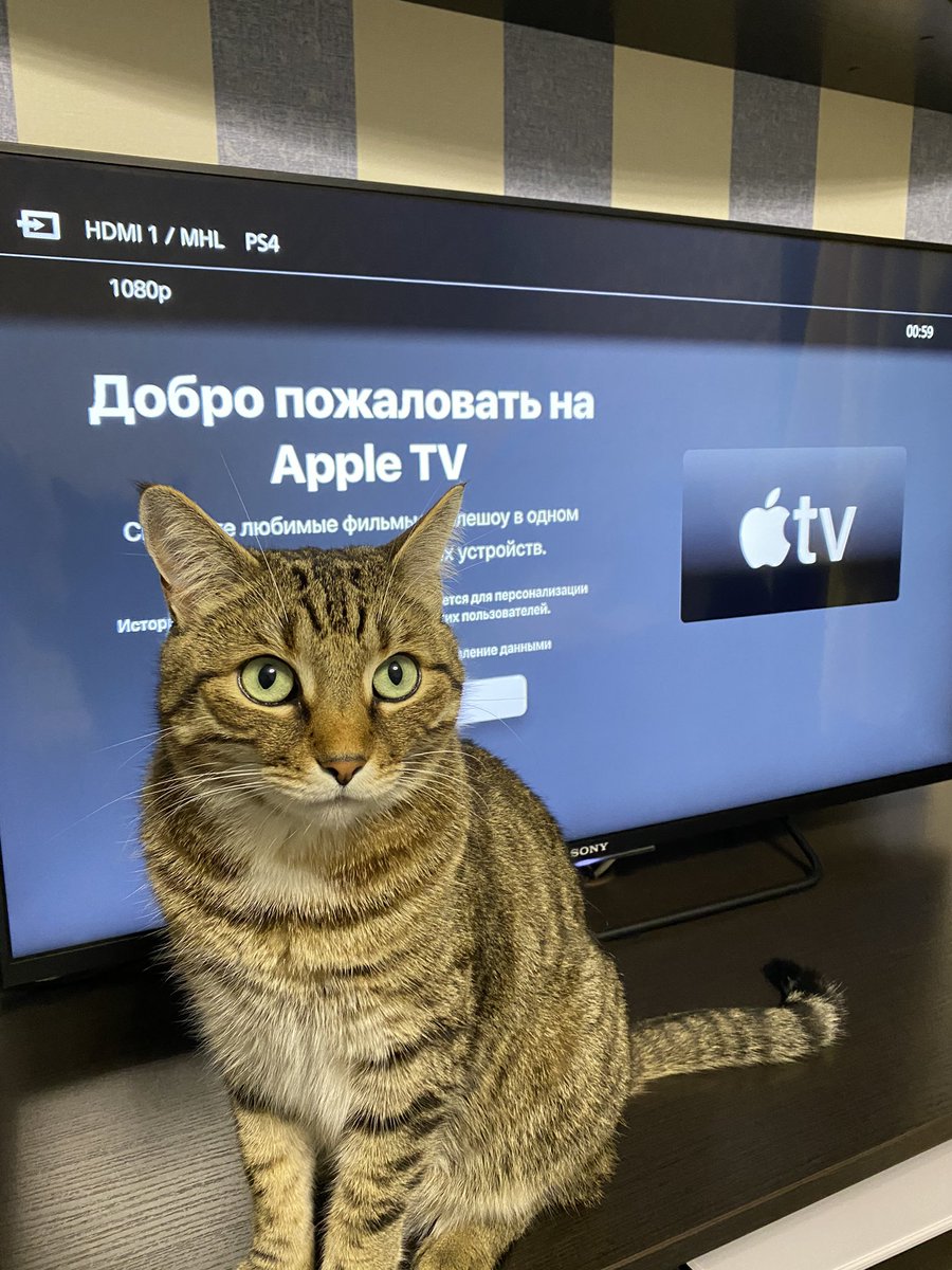 ognencode's tweet image. Скачал #apple tv на ps4.