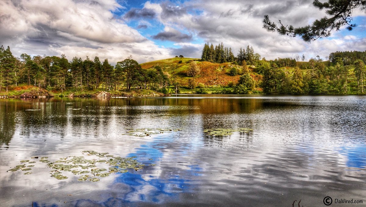 Dawired1's tweet photo. 🌞Sunny day @ Tarn Hows, Lake District, Cumbria. A picturesque tarn, approximately 2 miles northeast of Coniston and about 1.5 miles northwest of Hawkshead.⁠
⁠
#ᴅᴀᴡɪʀᴇᴅ #ʙʟᴏɢɢᴇʀʟɪғᴇ #ᴅᴀᴡɪʀᴇᴅʟɪғᴇ  #ʟᴀᴋᴇᴅɪsᴛʀɪᴄᴛ #ᴛᴀʀɴʜᴏᴡs #ʟᴀᴋᴇ ⁠
⁠ https://t.co/vx7ef65DvJ
