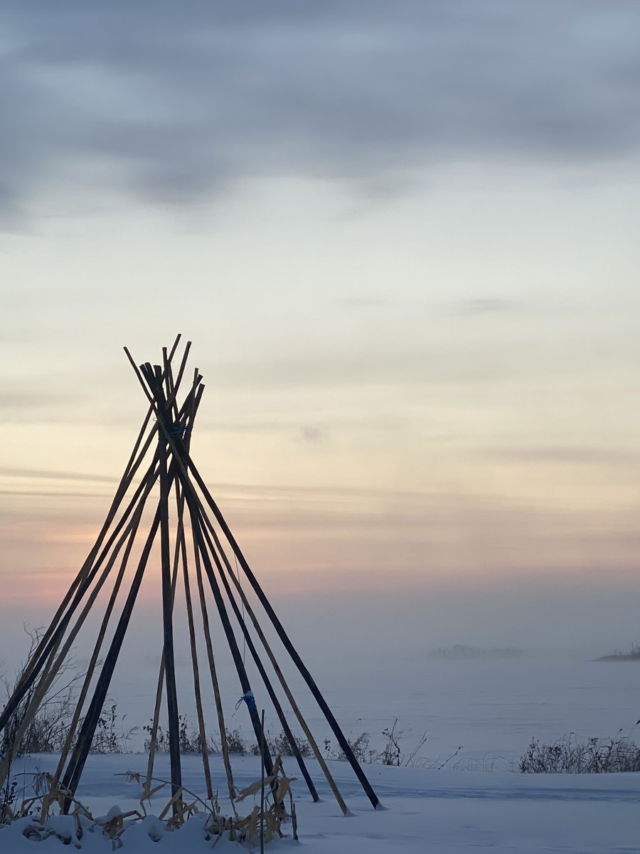 haroldrjohnson's tweet image. 