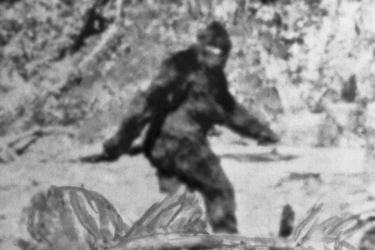 RickyBusYT's tweet photo. You have a better shot at finding Bigfoot than getting a #PS5 from Walmart. https://t.co/oR6lPwVEXR