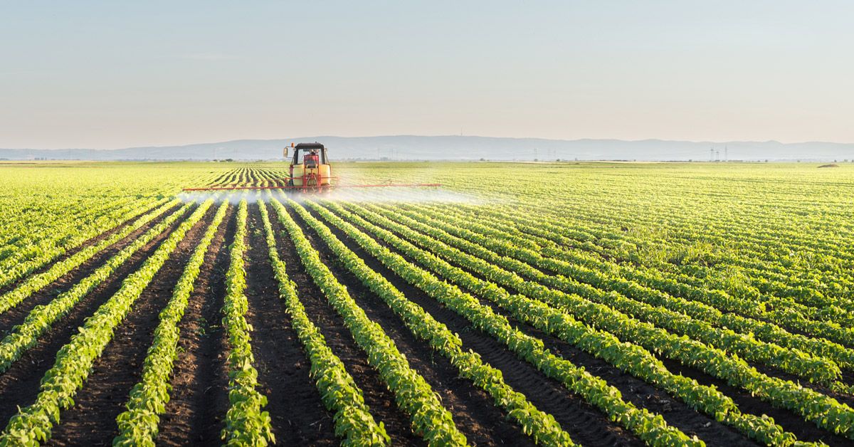 Los transgenicos NUNCA incrementaron la producción. 
Mentiras del #agronegocio al descubierto.
Genetic engineering still failing to increase crop yields buff.ly/3ljIq8H
