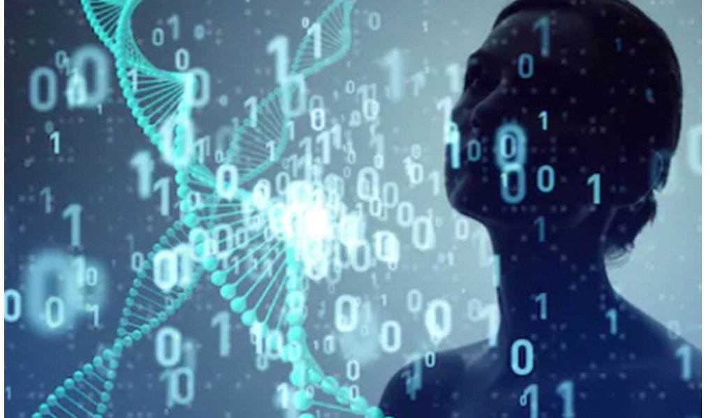 Gabriel39026524's tweet photo. #losdatosdealmacenamientodeadn
Es una facilidad para recoger datos mediante el uso de ADN almacena una cantidad de datos que son transferidos a un medio electrónico.#UTECIVIL @Michell29340172 https://t.co/RBWMm9dxzV