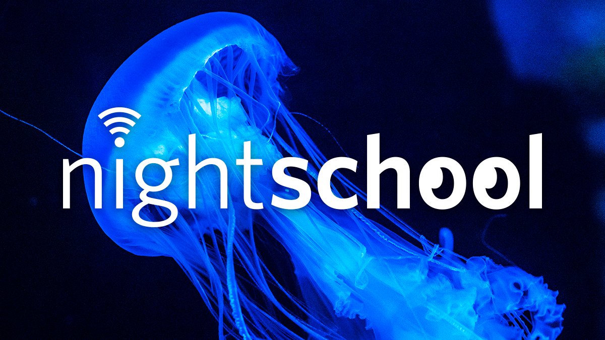 7pm PT tonight: It's jelly time! We're back with NightSchool &amp; a closer look at these gelatinous wonders. Join science writer <a href="/juliberwald/">Juli Berwald</a>, venomologist <a href="/GelatinousSting/">Anna Klompen, PhD</a>, science illustrator <a href="/NickBezioArt/">Nicholas Bezio (Bezio Studios)</a>, &amp; biologist Riah Evin live on YouTube: bit.ly/3mdIB5q