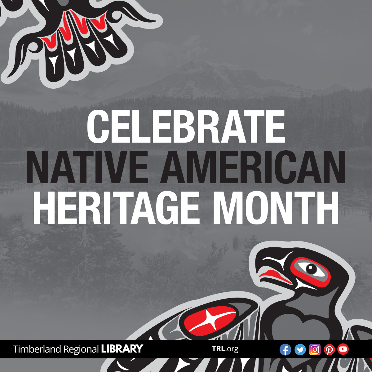 TRLibraries's tweet image. This November, Timberland Library celebrates #NativeAmericanHeritageMonth. Check out books for all ages by Native authors at trl.org (scroll to bottom of page).
#ownvoices #NativeLit