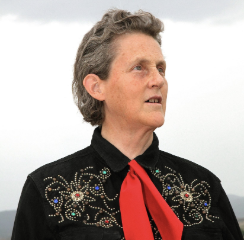 dvm360's tweet photo. Happening now: One of our keynote speakers, Temple Grandin, PhD, will be discussing animal behavior and autism. Tune in now! #fetchdvm360 https://t.co/Bz4vjiyRkT https://t.co/iI2gbkRrUd