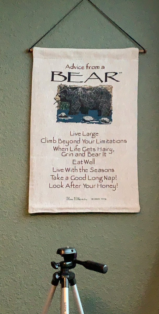 Euphoria4Life1's tweet photo. I’ll start us off with some of the best advice I’ve ever received from a bear ;) https://t.co/CiC4QNP5Fg