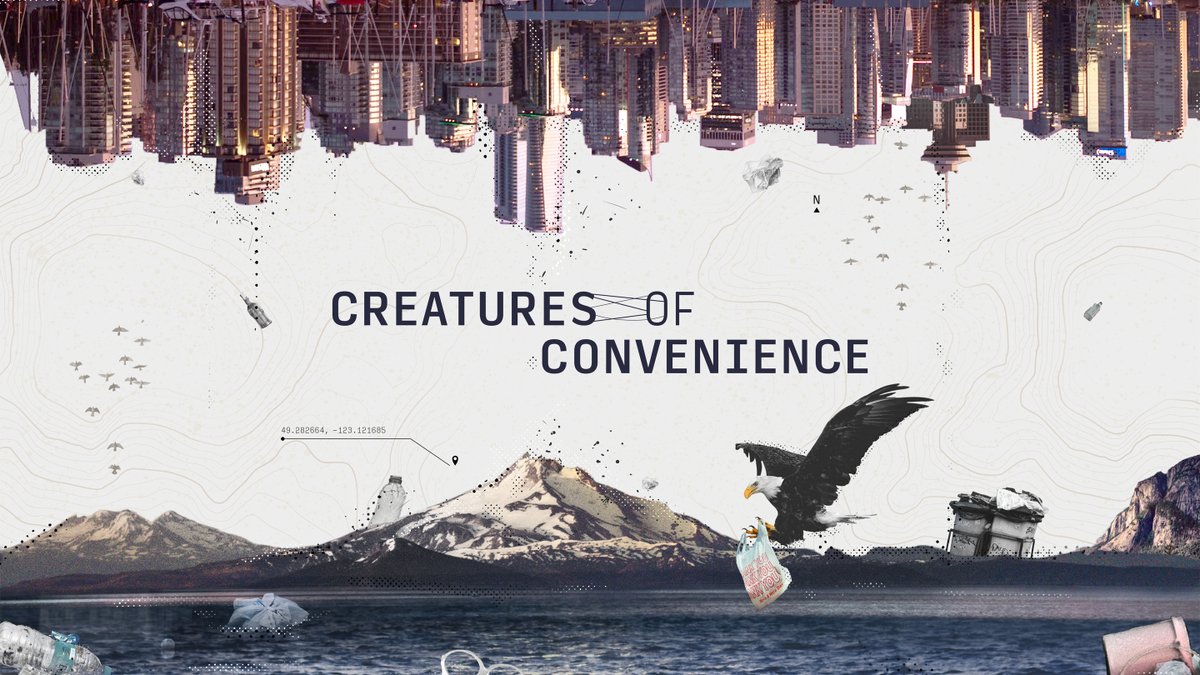 creativebcs's tweet photo. #CreaturesofConvenience follows a young father as he navigates solutions to reduce waste in his family's lives, exploring the challenges our convenience culture places on our environment. 

The film premieres tomorrow on @cbcgem. Watch the trailer: https://t.co/S6NZ1gsCyp #bcfilm https://t.co/yxtm3vj6Qn
