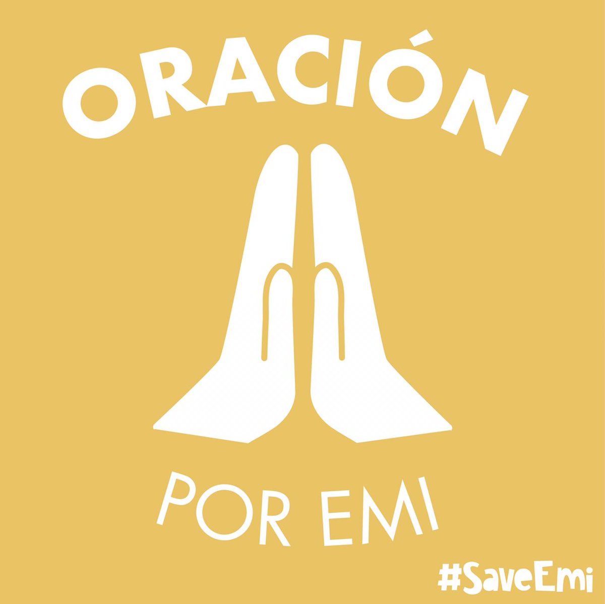 SalvemosaEmi's tweet photo. Emi debe cumplir con un estudio más para sus chequeos.
El día de mañana muy temprano entrará a una resonancia muy importante.
Por favor unanse con sus oraciones ✨😊🙏🏼💙
Gracias por ayudarnos a hacer milagros.
#SalvemosAEmiliano #SaveEmi #dipgawareness #DIPGwarrior 🎗 https://t.co/4mrWZ4uwBW