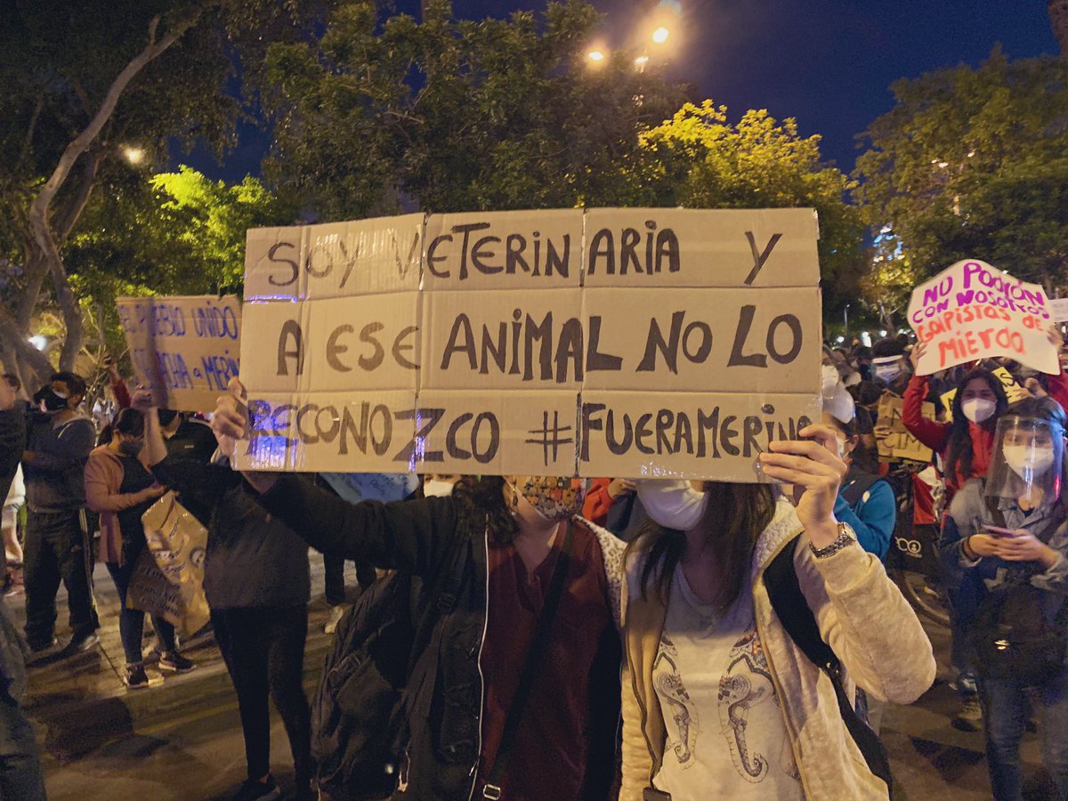PanchoHermoza's tweet photo. #MerinoNoEsMiPresidente 
#EsteCongresoNoMeRepresenta https://t.co/EtN12NHWxo