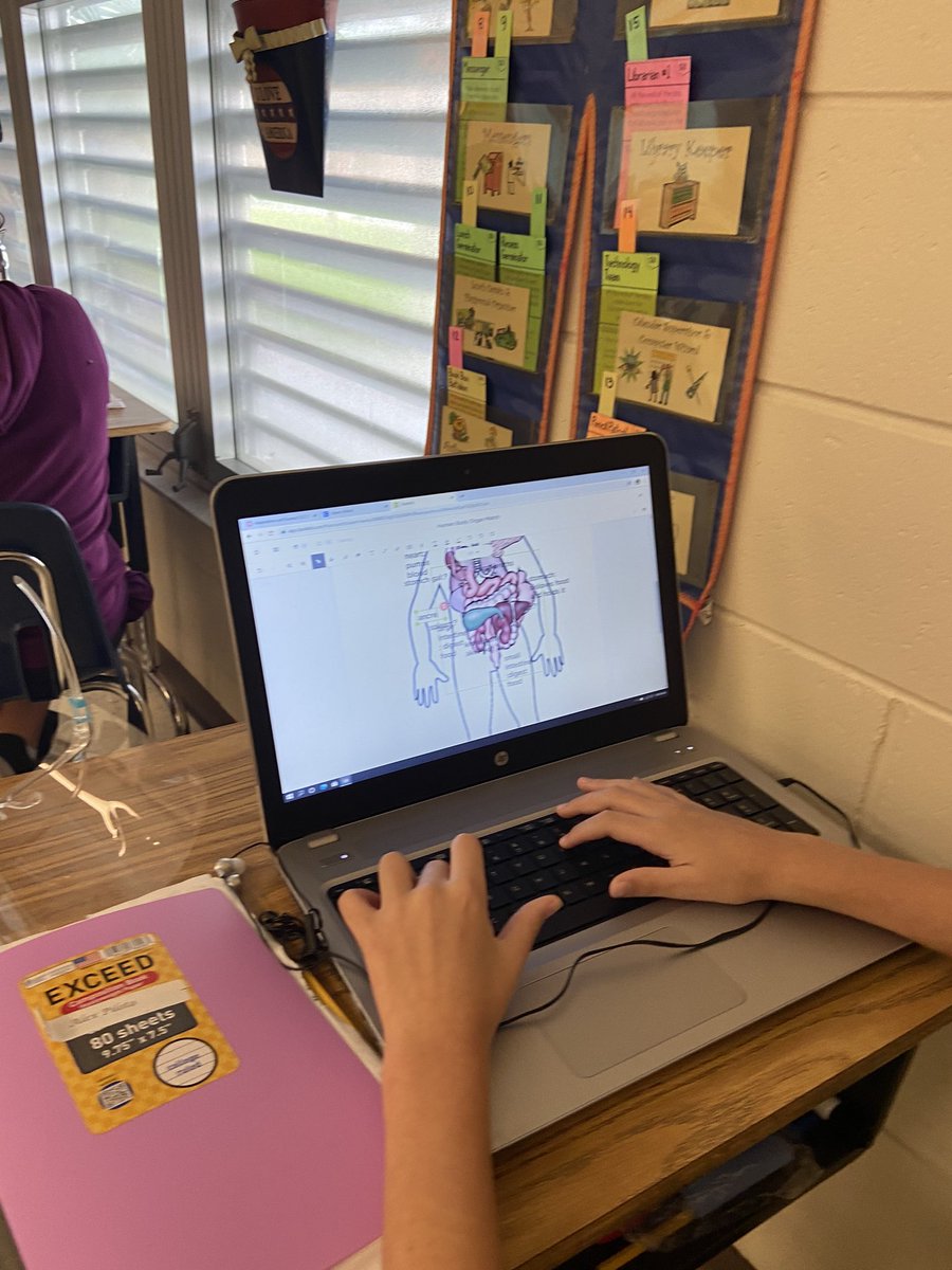 MrsVickyRuiz's tweet photo. When your class is blended, you can still do “hands-on”. The kids had a blast trying to piece together the organs of the human body! #classkick @SPEHAWKSNAPLES #addressingmisconceptions https://t.co/Gp1vNfFW3X