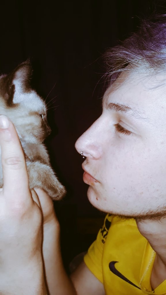 Nxchitx's tweet photo. Polár🐱😻
#polarr #gatos #cats #Mascotas #gatitos #michi https://t.co/3uXqOZCh1k