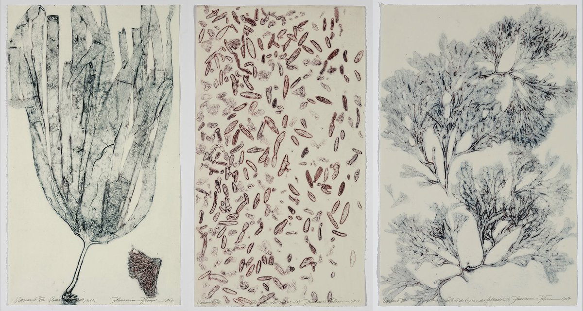 StudentsOnIce's tweet photo. Francine Potvin is a visual artist who participated on Leg 6 of the @canada_c3. Her work was made using algae and vegetable matter that was brought back from her time on expedition! #OpenChannels
https://t.co/AFkp9VzJtg https://t.co/6k2K96JbPO