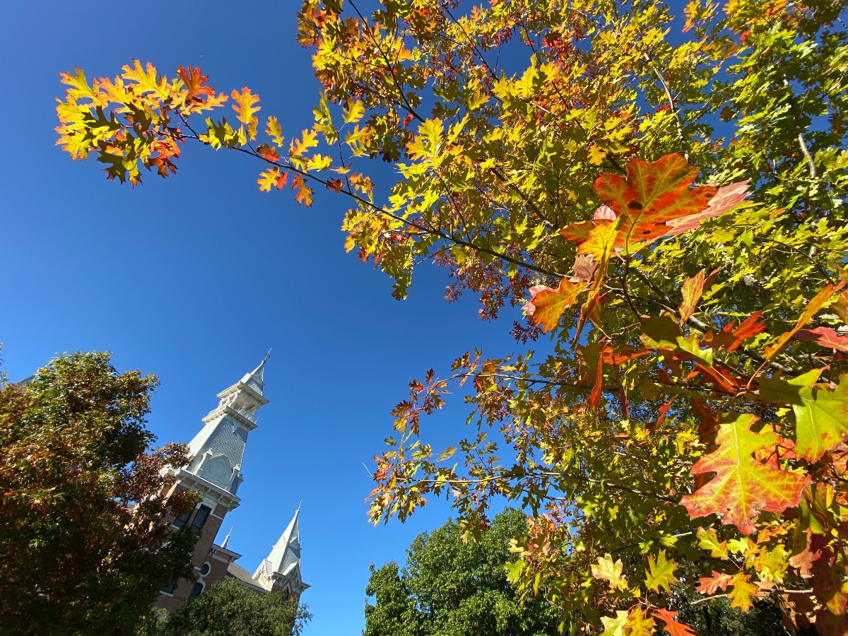 Baylor's tweet photo. Fall looks good on you, Baylor. 🍃✨🍂 https://t.co/zNkGmgLAfG
