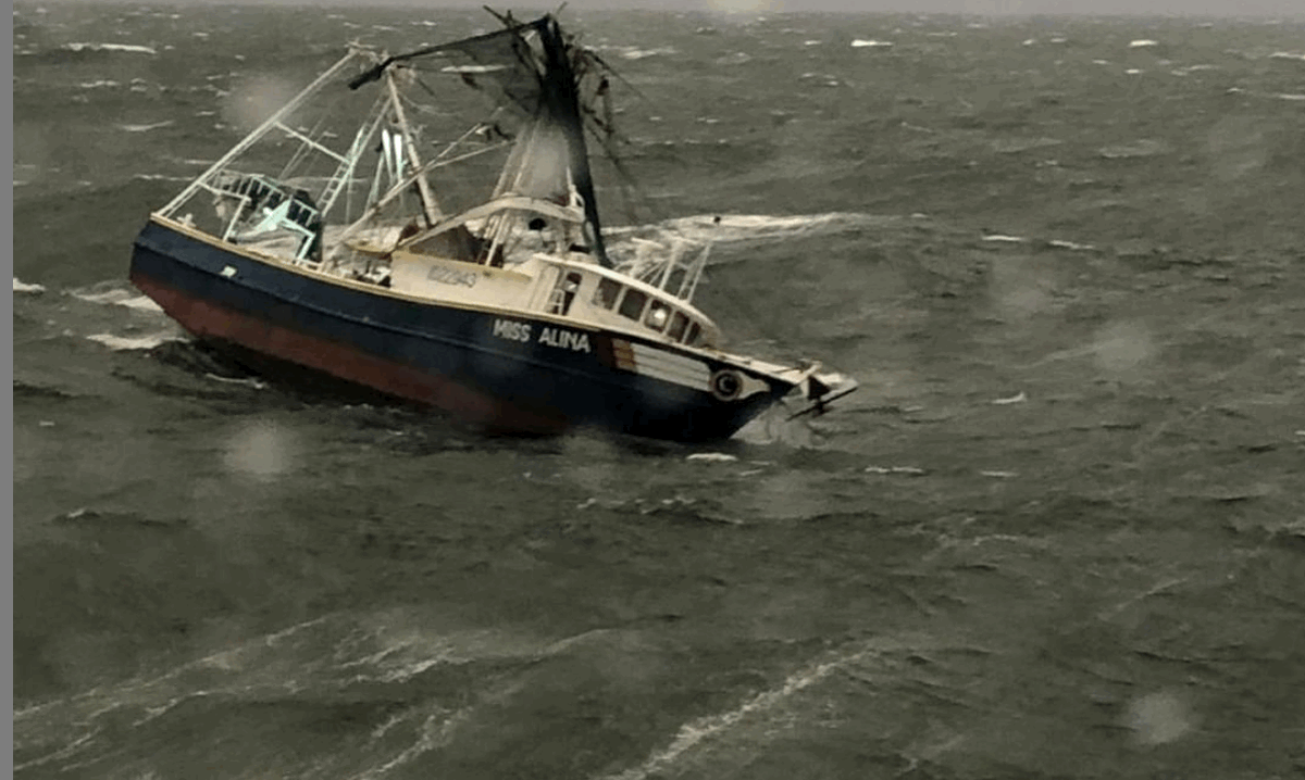 Texas Shrimp Assoc tweet media