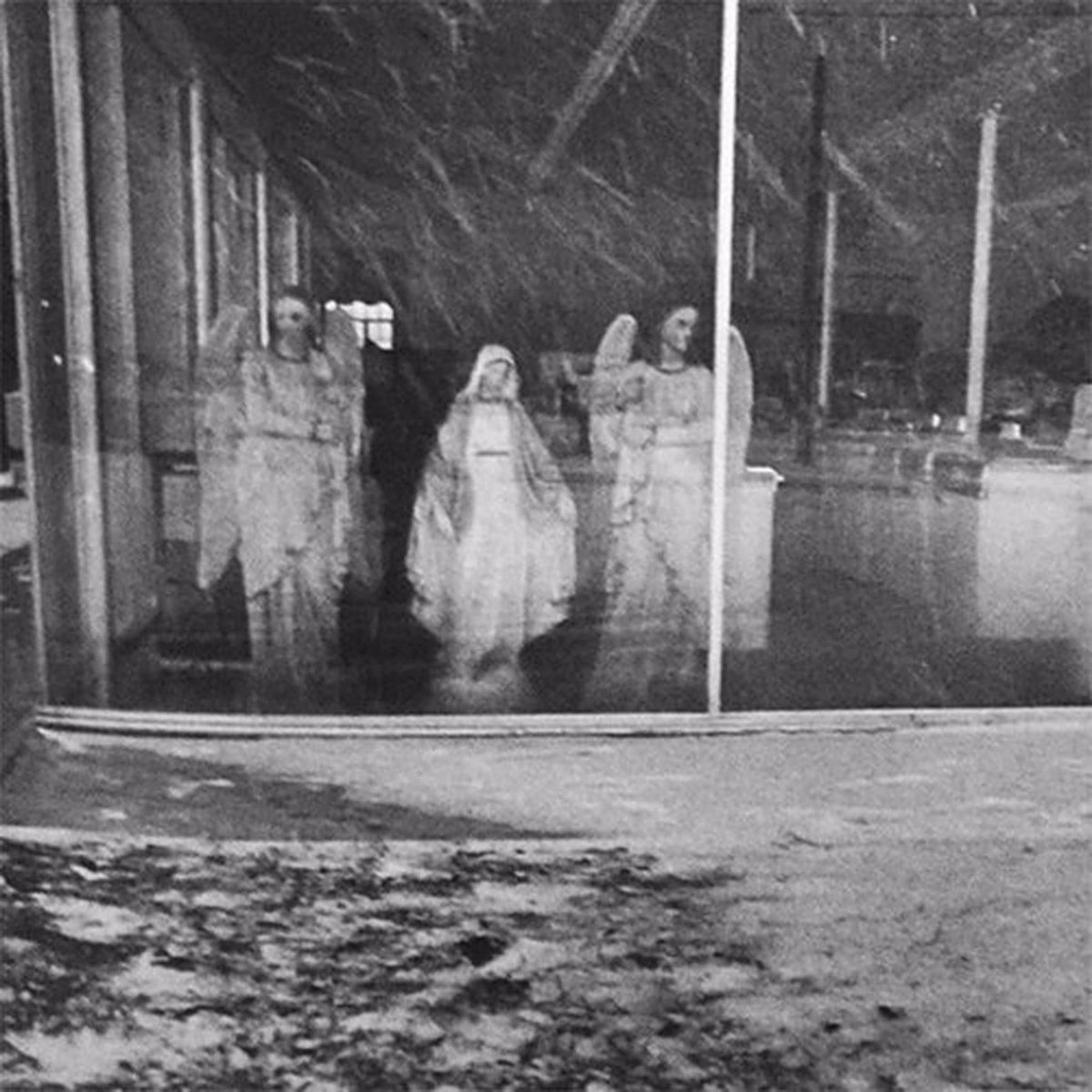 “let you down (feat. chromakey &amp; freeless)” is finally on streaming platforms. this is one of the songs I’m most proud to be a part of so if you already know it give it a listen for old times sake, and if you don’t, plz check it out!

li.sten.to/cwzxOYO