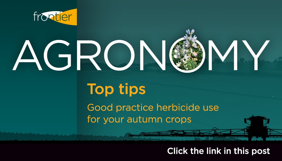 FrontierAg's tweet photo. Protecting water is vital for maintaining the long-term availability of crop protection products. In our latest #AGRONOMY brief, crop production technical lead, Paul Fogg shares some key advice around responsible herbicide use: https://t.co/aWn91VZnZ4 https://t.co/AS3LYU8z9I