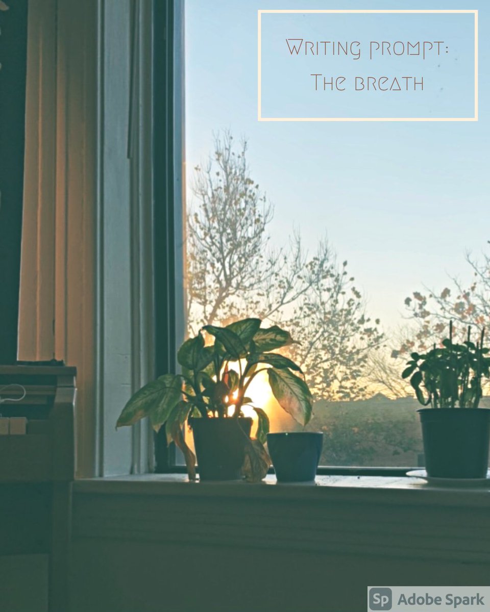 columpoetry's tweet image. there’s no doubt that the breath &amp;amp; breathing has been a major theme of 2020: from the audacity of stolen breath to the guardedness of our inhales and exhales, along with mental health sources saying “just keep breathing” ...