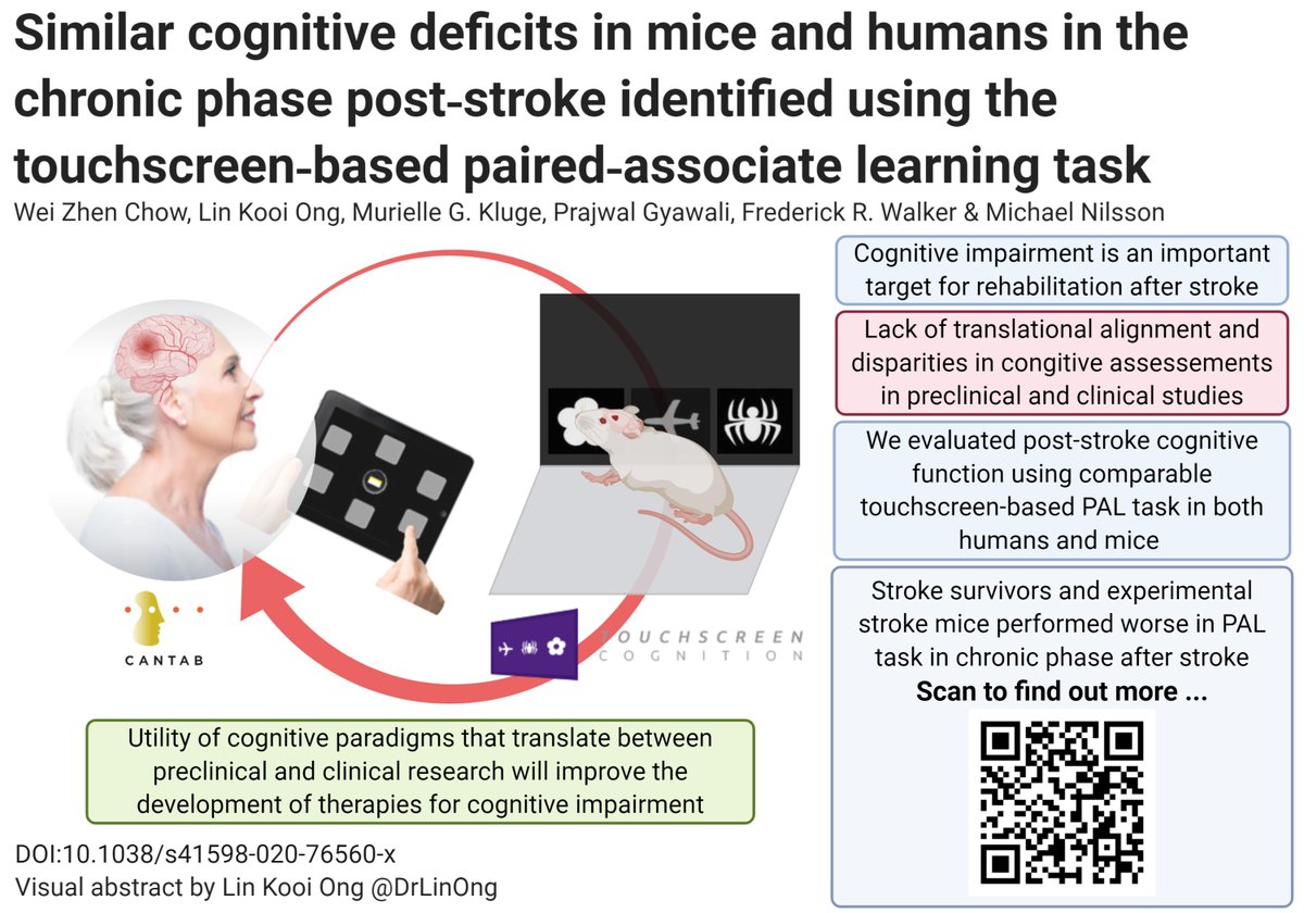 Dr Lin Kooi Ong tweet media