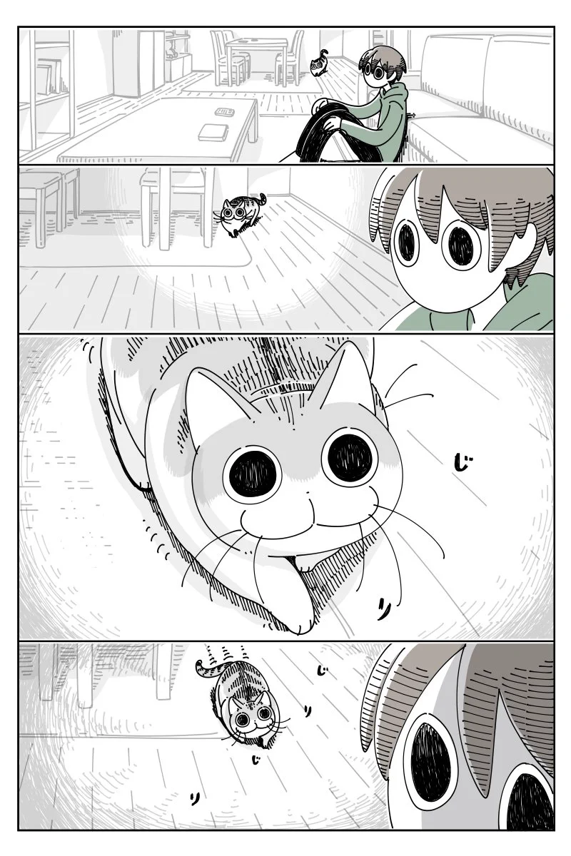 こんな自由なところも可愛すぎる！始まりも終わりも唐突な、猫との「だるまさんが転んだ」