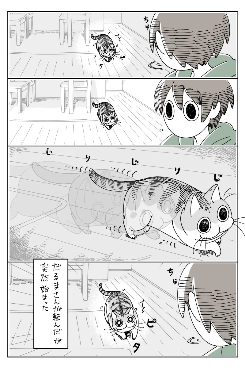 こんな自由なところも可愛すぎる！始まりも終わりも唐突な、猫との「だるまさんが転んだ」