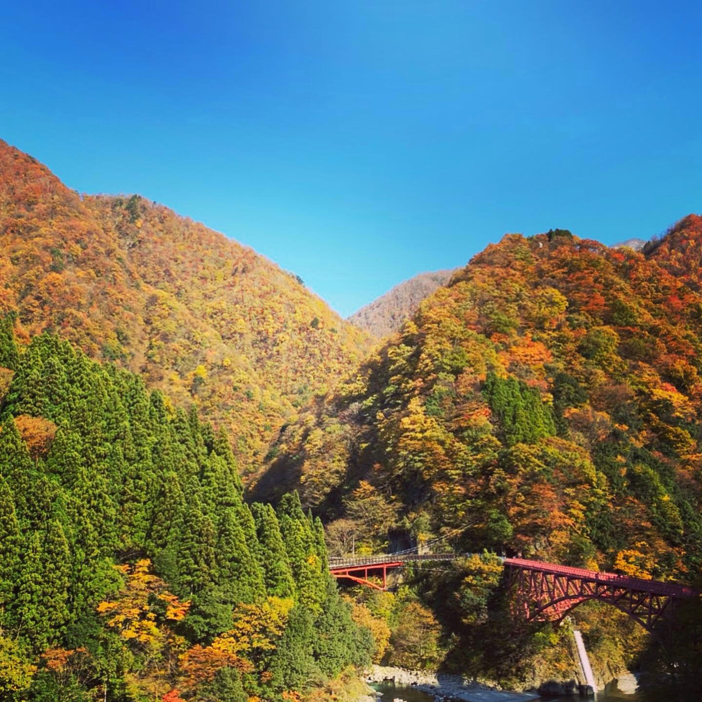 黒部峡谷鉄道 天気が良いので 紅葉 の山々の色が綺麗ですよー まだまだ紅葉風景が楽しめますよ 黒部峡谷トロッコ電車 観光 富山 黒部 Toyama 鉄道写真 絶景 旅 もうすぐ冬だね 鉄道 スマイル宇奈月 雪景色 T Co Joopmlsneb