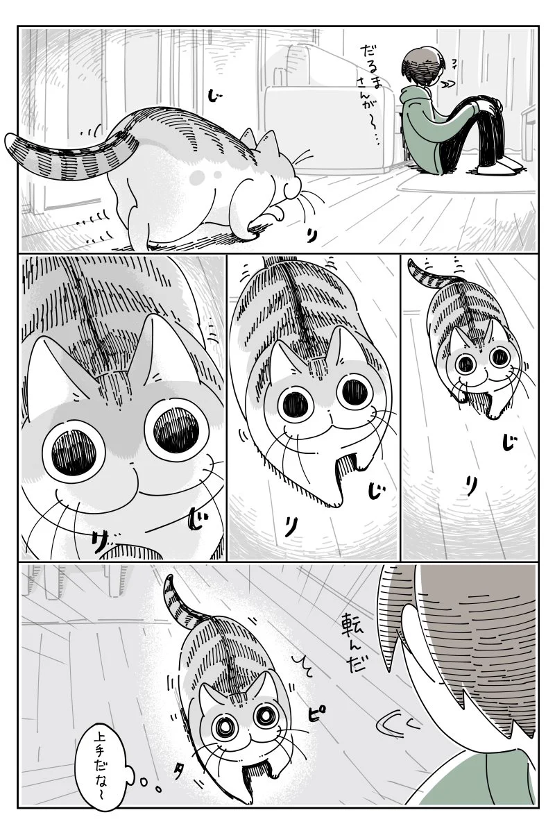 こんな自由なところも可愛すぎる！始まりも終わりも唐突な、猫との「だるまさんが転んだ」